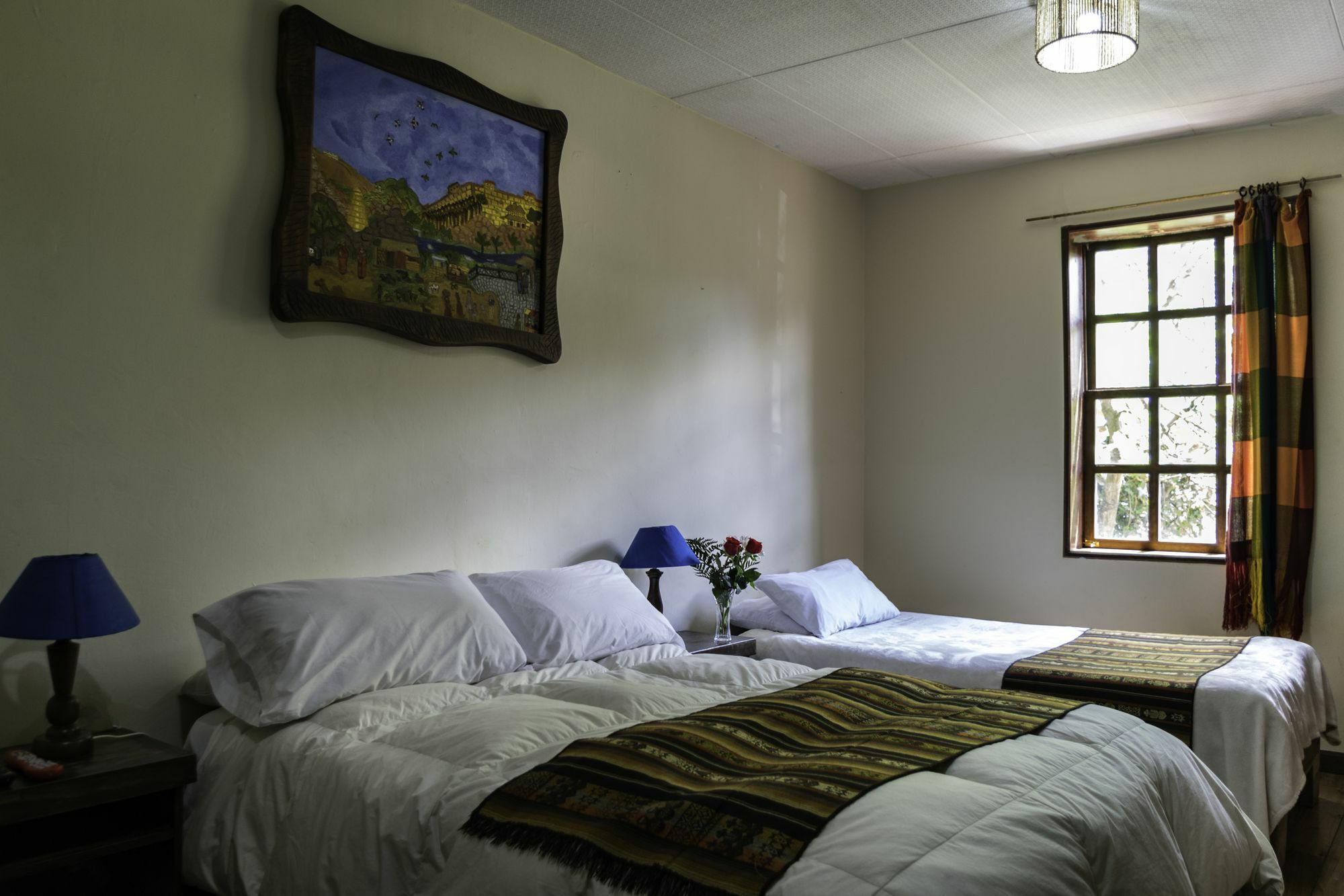 Casa Del Arupo Hostel Quito Ngoại thất bức ảnh